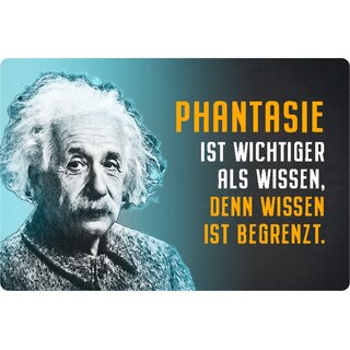 Schild Spruch "Phantasie wichtiger Wissen, begrenzt" Einstein blau 20 x 30 cm 