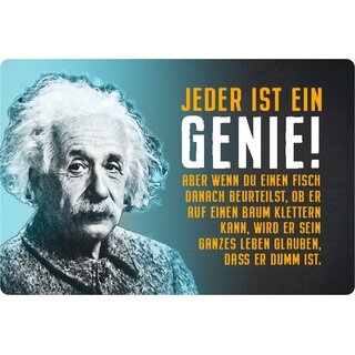 Schild Spruch "Genie, Fisch beurteilst klettern dumm" Einstein blau 20 x 30 cm 