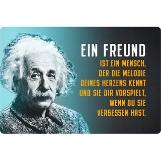 Schild Spruch "Freund Mensch Melodie Herz vorspielt" Einstein blau 20 x 30 cm 