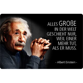 Schild Spruch "Große Welt, einer mehr tut als er muss" Einstein 20 x 30 cm 
