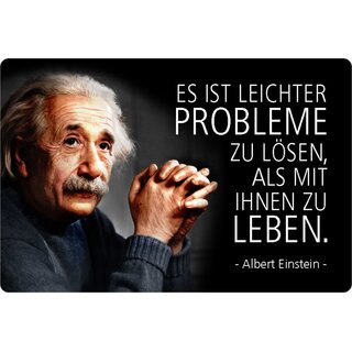Schild Spruch "leichter Probleme lösen, mit ihnen leben" Einstein 20 x 30 cm 