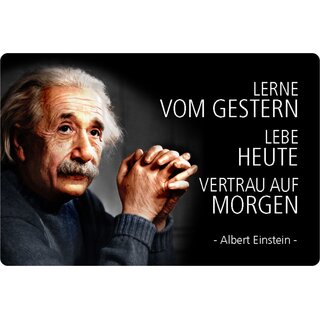 Schild Spruch "Lerne gestern, lebe heute, vertraue auf morgen" Einstein 20 x 30 cm 