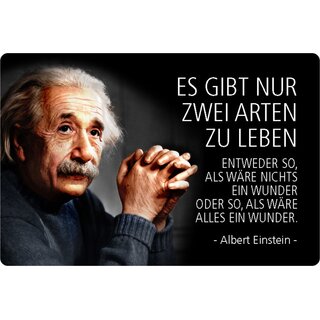 Schild Spruch "zwei Arten leben, nichts Wunder, alles" Einstein 20 x 30 cm 