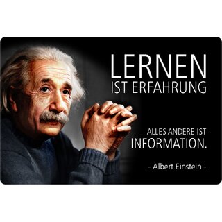 Schild Spruch "Lernen Erfahrung, alles andere Information" Einstein 20 x 30 cm 