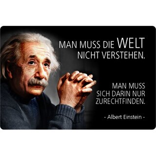 Schild Spruch "Welt nicht verstehen, nur zurechtfinden" Einstein 20 x 30 cm 