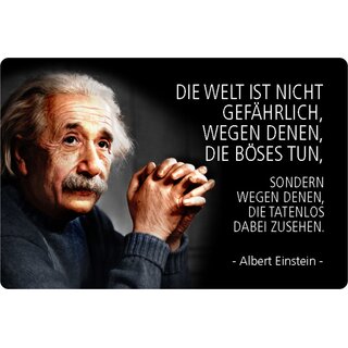 Schild Spruch "Welt nicht gefährlich, böses tun, zusehen" Einstein 20 x 30 cm 