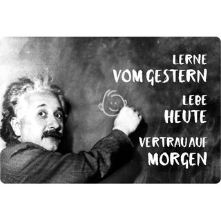 Schild Spruch "Lerne gestern, lebe, vertraue auf morgen" Einstein 20 x 30 cm 