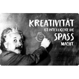 Schild Spruch "Kreativität Intelligenz, Spaß macht" Einstein 20 x 30 cm 