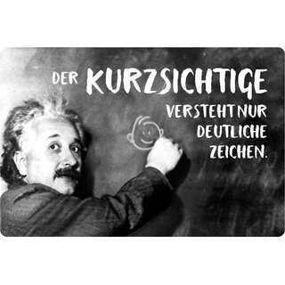 Schild Spruch "Der Kurzsichtige versteht deutliche Zeichen" Einstein 20 x 30 cm 