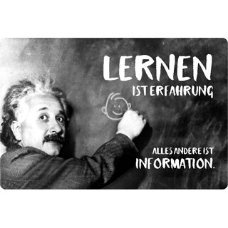 Schild Spruch "Lernen ist Erfahrung, andere Information" Einstein 20 x 30 cm 