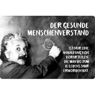 Schild Spruch "Menschenverstand Anhäufung Vorurteilen" Einstein 20 x 30 cm 