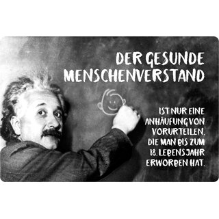 Schild Spruch "Menschenverstand Anhäufung Vorurteilen" Einstein 20 x 30 cm