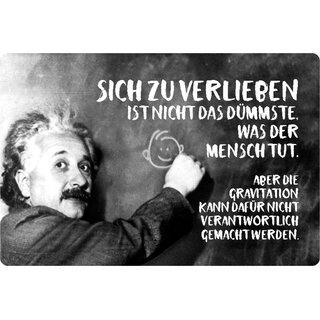 Schild Spruch "verlieben nicht dümmste, Gravitation" Einstein 20 x 30 cm 