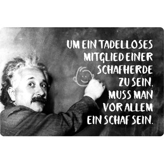 Schild Spruch "tadelloses Mitglied Schafherde, Schaf" Einstein 20 x 30 cm 