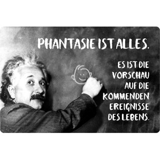 Schild Spruch "Phantasie alles, Vorschau kommende" Einstein 20 x 30 cm 