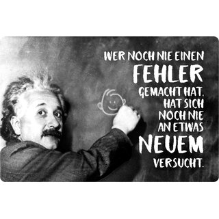 Schild Spruch "nie Fehler, nie an Neuem versucht" Einstein 20 x 30 cm