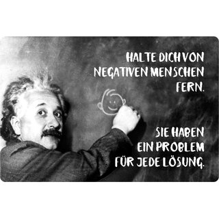 Schild Spruch "negativen Menschen, Problem jede Lösung" Einstein 20 x 30 cm 