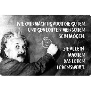 Schild Spruch "ohnmächtig guten gerechten Menschen" Einstein 20 x 30 cm
