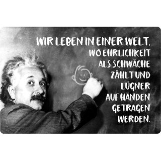Schild Spruch "leben in Welt, Ehrlichkeit Schwäche" Einstein 20 x 30 cm 