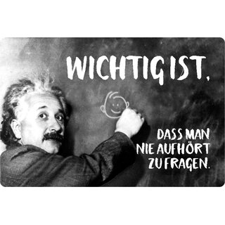 Schild Spruch "Wichtig ist, nie aufhört fragen" Einstein schwarz weiß 20 x 30 cm 