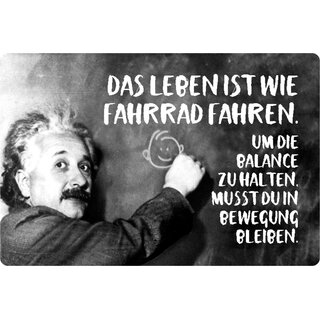 Schild Spruch "Leben Fahrrad fahren, Balance halten" Einstein 20 x 30 cm 
