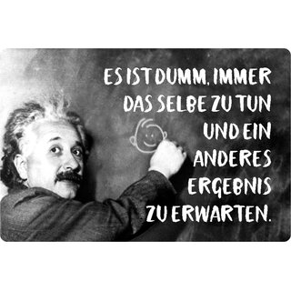 Schild Spruch "dumm immer selbe tun, anderes Ergebnis" Einstein 20 x 30 cm 