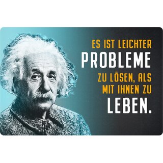 Schild Spruch "leichter Probleme lösen, als mit ihnen leben" Einstein 20 x 30 cm