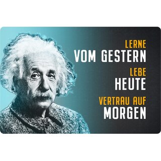 Schild Spruch "Lerne gestern, lebe heute, vertraue morgen" Einstein 20 x 30 cm 