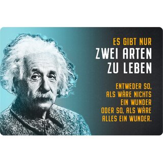 Schild Spruch "zwei Arten leben, nichts oder alles ein Wunder" Einstein 20 x 30 cm 