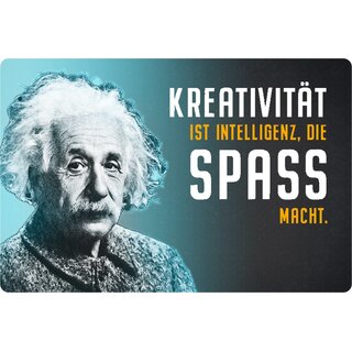 Schild Spruch "Kreativität ist Intelligenz, die Spaß macht" Einstein 20 x 30 cm 