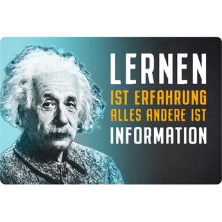 Schild Spruch "Lernen Erfahrung, ander Information" Einstein 20 x 30 cm 
