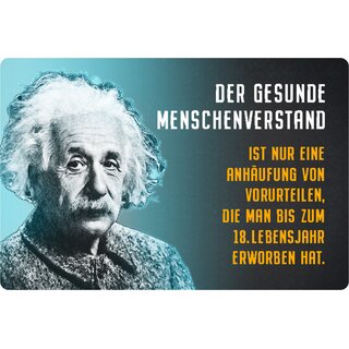 Schild Spruch "gesunde Menschenverstand, Vorurteilen" Einstein 20 x 30 cm 