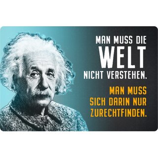 Schild Spruch "Welt nicht verstehen, zurechtfinden" Einstein 20 x 30 cm 
