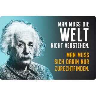 Schild Spruch "Welt nicht verstehen, zurechtfinden" Einstein 20 x 30 cm