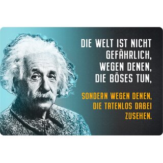 Schild Spruch "Welt nicht gefährlich, tatenlos dabei zusehen" Einstein 20 x 30 cm