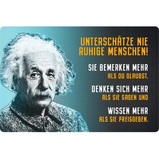 Schild Spruch "ruhige Menschen bemerken denken wissen mehr" Einstein 20 x 30 cm 