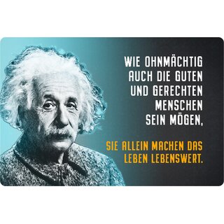 Schild Spruch "ohnmächtig guten Menschen, lebenswert" Einstein 20 x 30 cm