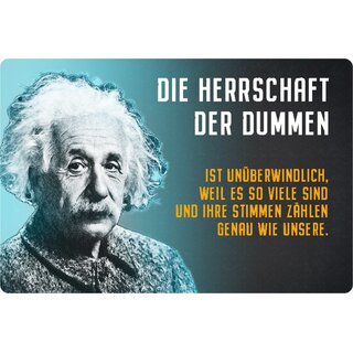 Schild Spruch "Herrschaft Dummen unüberwindlich, viele Stimmen" Einstein 20 x 30 cm 