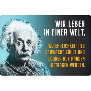 Schild Spruch "leben in Welt, Ehrlichkeit Schwäche, Lügner" Einstein 20 x 30 cm 