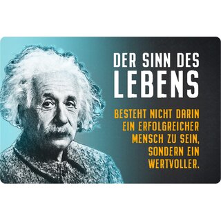 Schild Spruch "Sinn Leben erfolgreicher Mensch wertvoll" Einstein 20 x 30 cm 