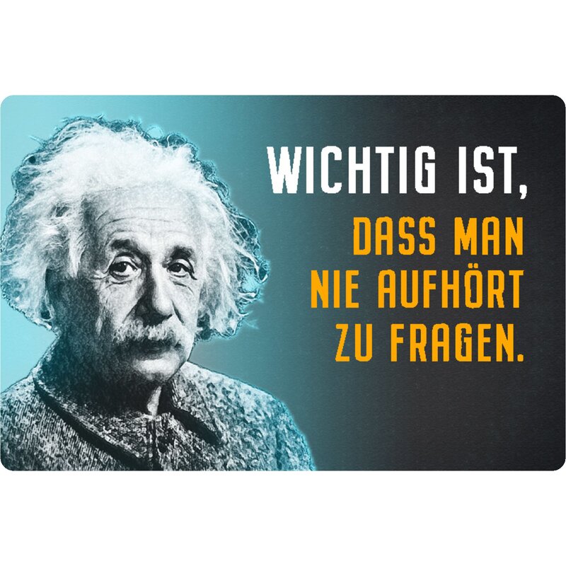 Schild Spruch "Wichtig, nie aufhört zu fragen" Einstein blau 20 x 30