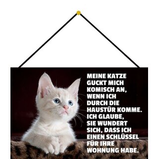 Schild Spruch "Katze guckt komisch, Haustür, Schlüssel für ihre Wohnung" 20 x 30 cm Blechschild mit Kordel