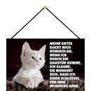 Schild Spruch "Katze guckt komisch, Haustür,...
