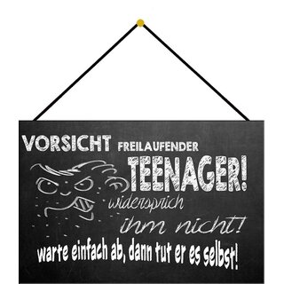 Schild Spruch "Vorsicht freilaufender Teenager, widersprich" 20 x 30 cm Blechschild mit Kordel