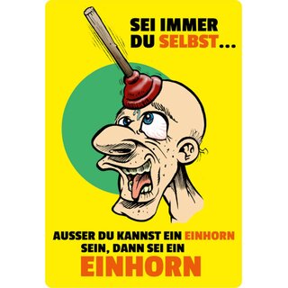 Schild Spruch "Sei du selbst, außer kannst Einhorn sein" Pömpel 20 x 30 cm