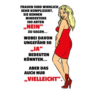 Schild Spruch "Frauen kompliziert, Nein ja vielleicht" 20 x 30 cm 