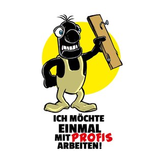 Schild Spruch "möchte einmal mit Profis arbeiten" 20 x 30 cm