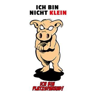Schild Spruch "bin nicht klein, bin platzsparend" Schwein 20 x 30 cm 