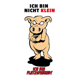 Schild Spruch "bin nicht klein, bin platzsparend" Schwein 20 x 30 cm