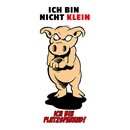 Schild Spruch "bin nicht klein, bin...